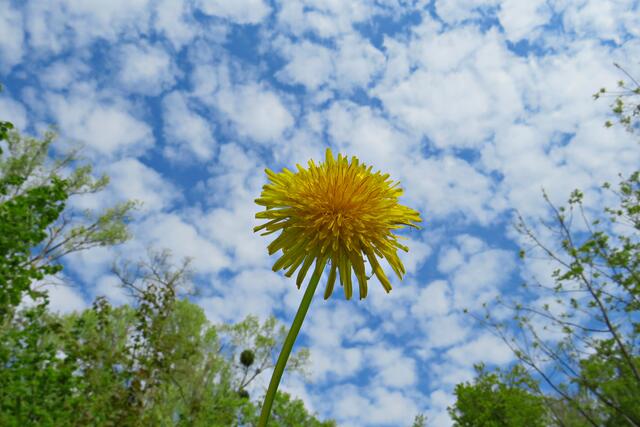 Foto: Brigitte Melder