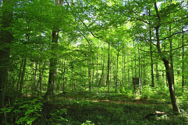 Foto: Brigitte Melder