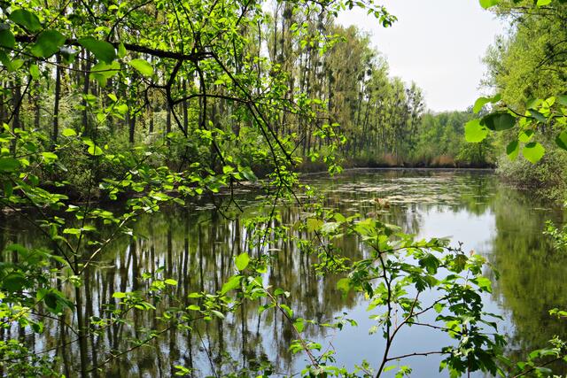 Foto: Brigitte Melder