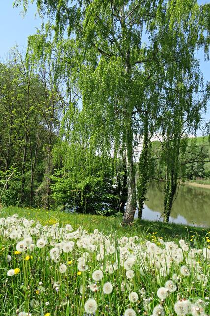 Foto: Brigitte Melder