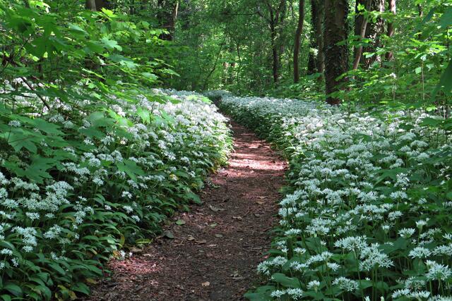 Foto: Brigitte Melder