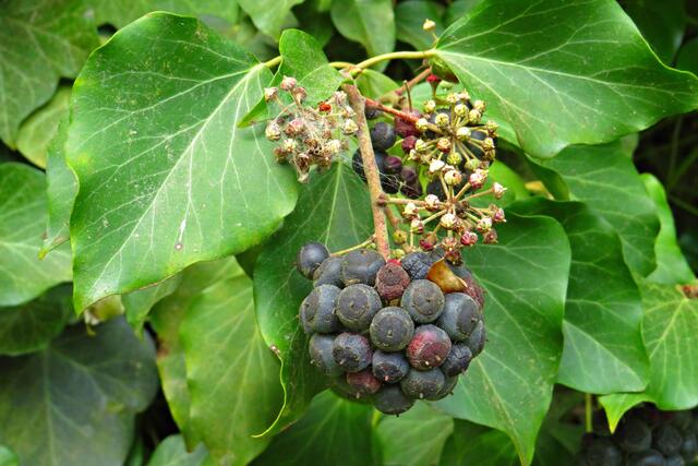 Foto: Brigitte Melder