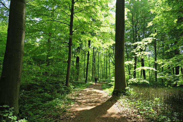 Foto: Brigitte Melder