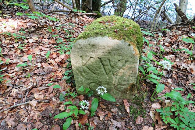 Foto: Brigitte Melder