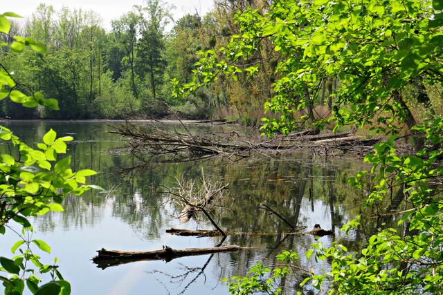 Foto: Brigitte Melder