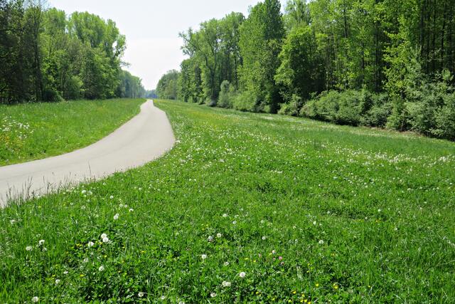 Halbzeit am Damm | Foto: Brigitte Melder