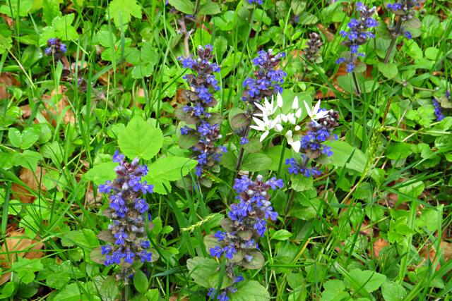 Foto: Brigitte Melder