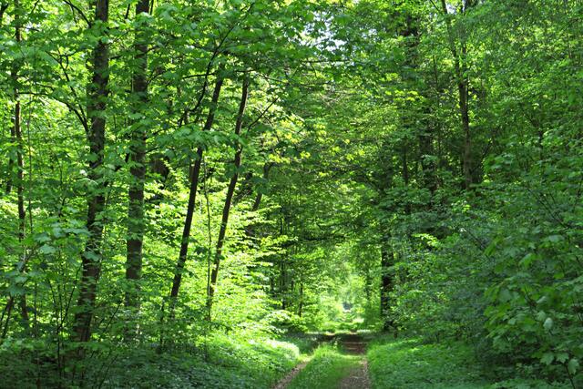 Foto: Brigitte Melder