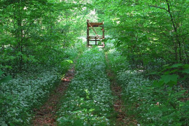 Foto: Brigitte Melder