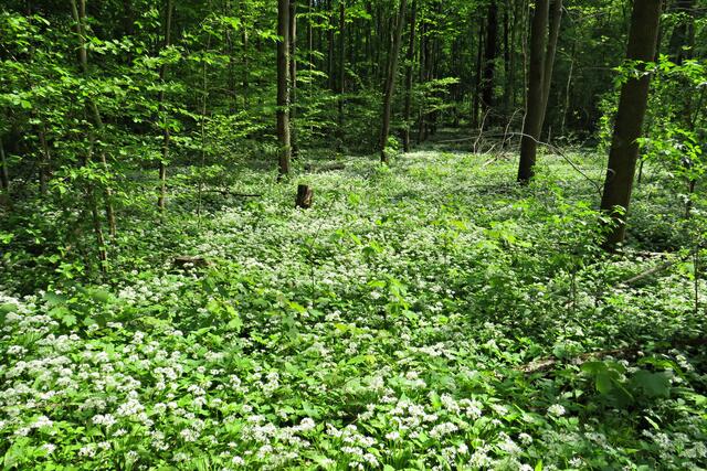 Foto: Brigitte Melder