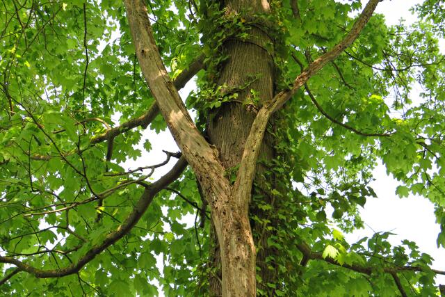 Foto: Brigitte Melder