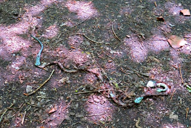 Foto: Brigitte Melder