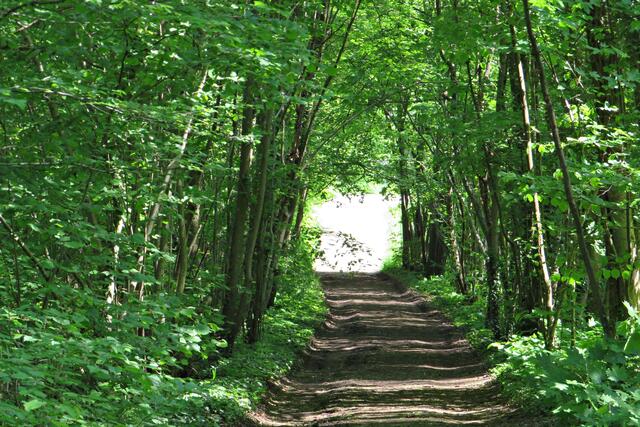 Foto: Brigitte Melder