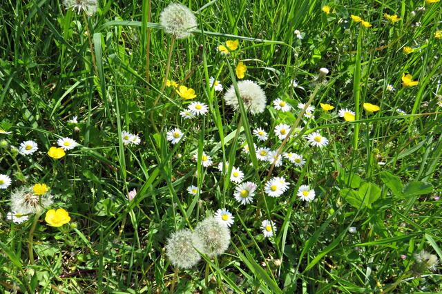 Foto: Brigitte Melder