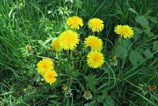 Foto: Brigitte Melder