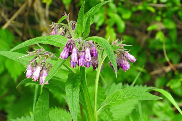 Foto: Brigitte Melder