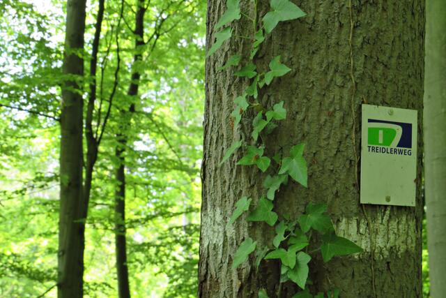 Foto: Brigitte Melder