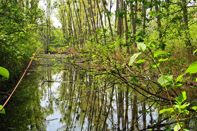 Foto: Brigitte Melder