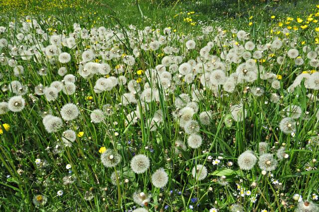 Foto: Brigitte Melder