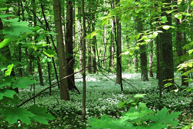 Foto: Brigitte Melder