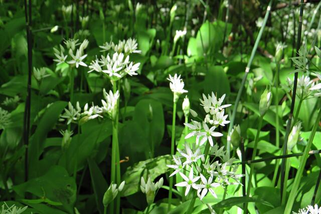 Foto: Brigitte Melder