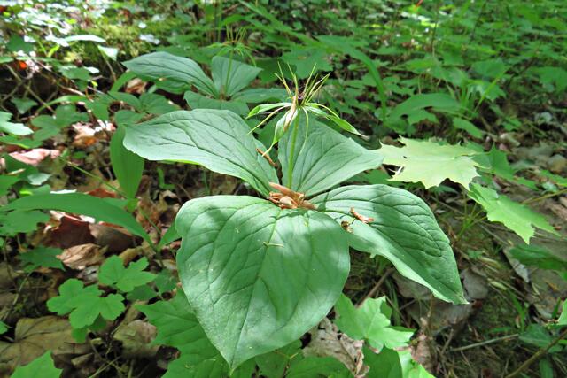 Foto: Brigitte Melder