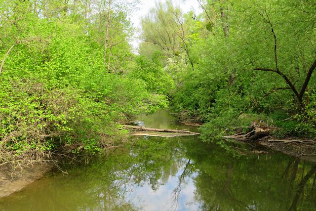 Foto: Brigitte Melder