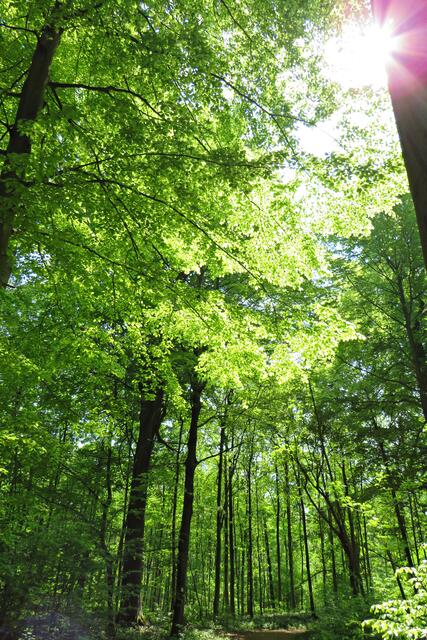 Foto: Brigitte Melder