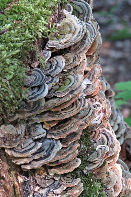 Foto: Brigitte Melder