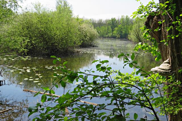 Foto: Brigitte Melder