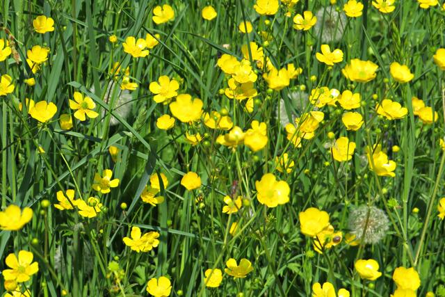 Foto: Brigitte Melder