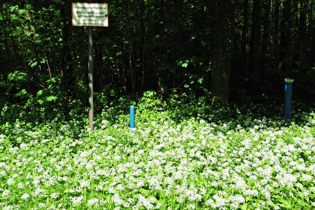 Foto: Brigitte Melder