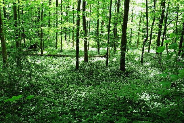 Foto: Brigitte Melder