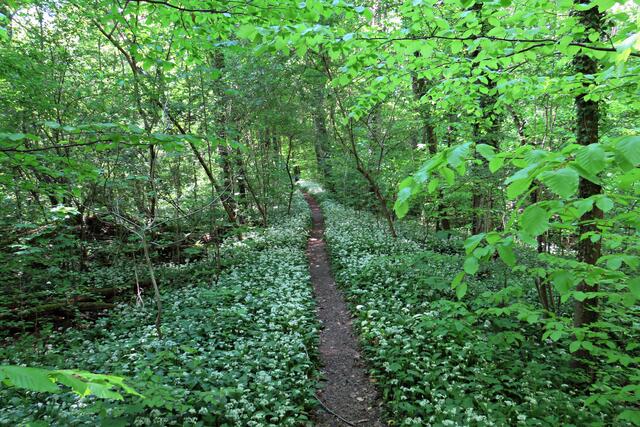 Foto: Brigitte Melder