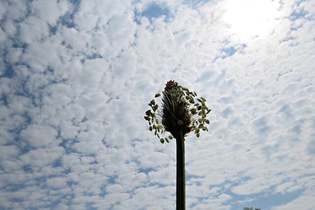 Foto: Brigitte Melder