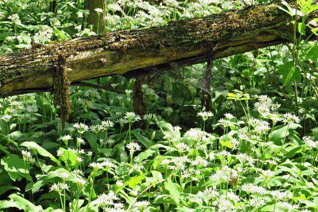 Foto: Brigitte Melder