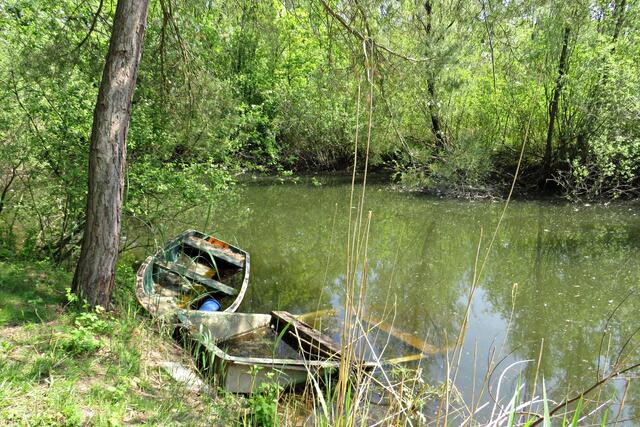 Foto: Brigitte Melder