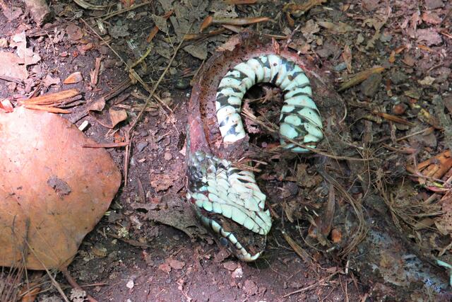 Foto: Brigitte Melder