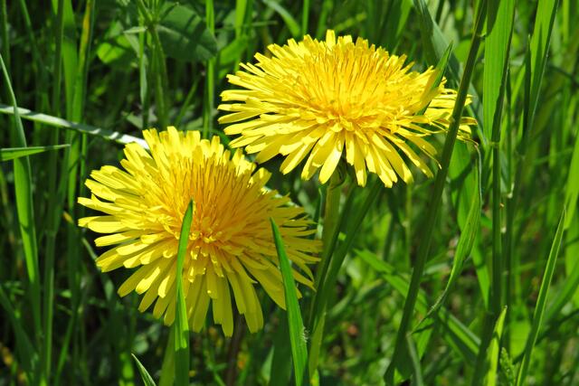 Foto: Brigitte Melder