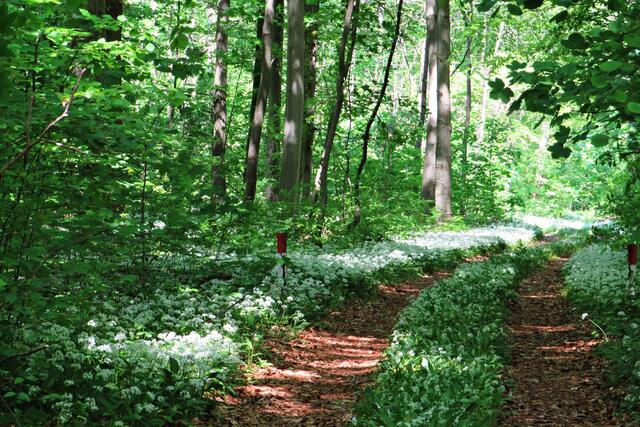 Foto: Brigitte Melder