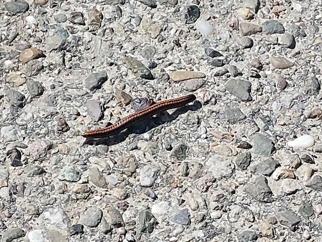 Foto: Brigitte Melder