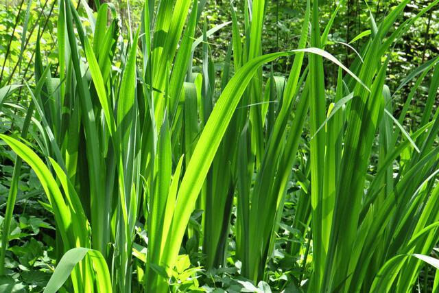 Foto: Brigitte Melder