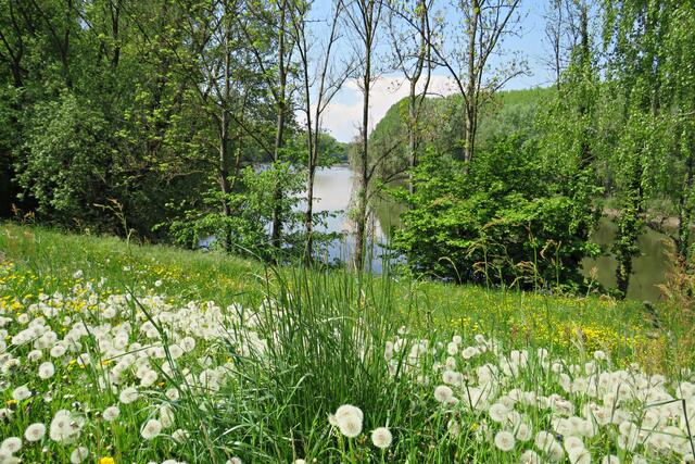 Foto: Brigitte Melder