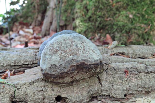 Foto: Brigitte Melder