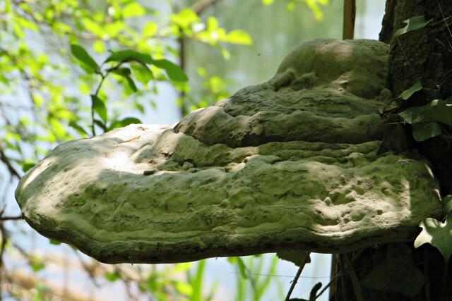 Foto: Brigitte Melder