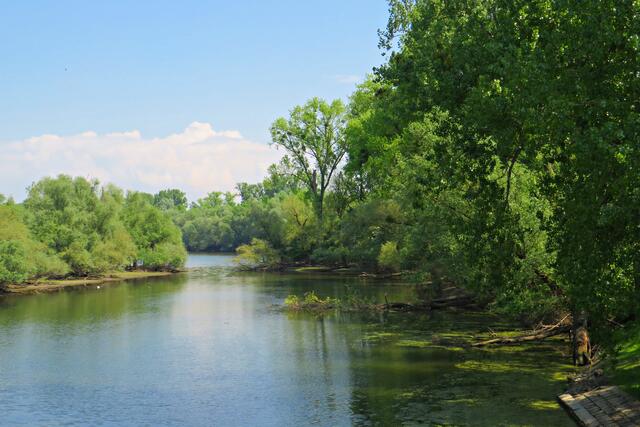 Foto: Brigitte Melder