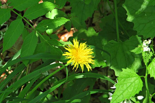 Foto: Brigitte Melder