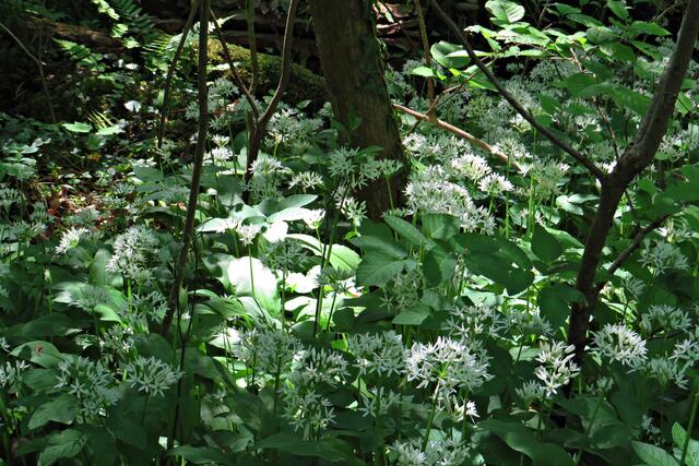 Foto: Brigitte Melder