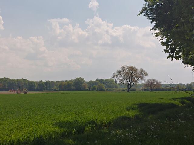 Foto: Brigitte Melder