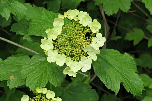 Foto: Brigitte Melder